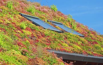 Woodcock Heath living roof systems