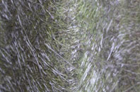 Woodcock Heath fibreglass roof work